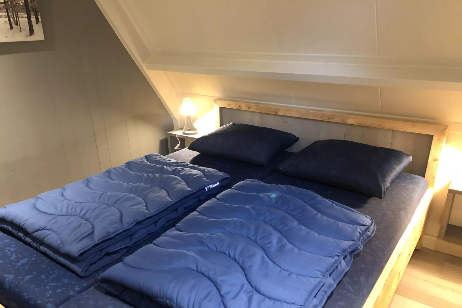 Vosseven 46&47 Aalbes-Slaapkamer