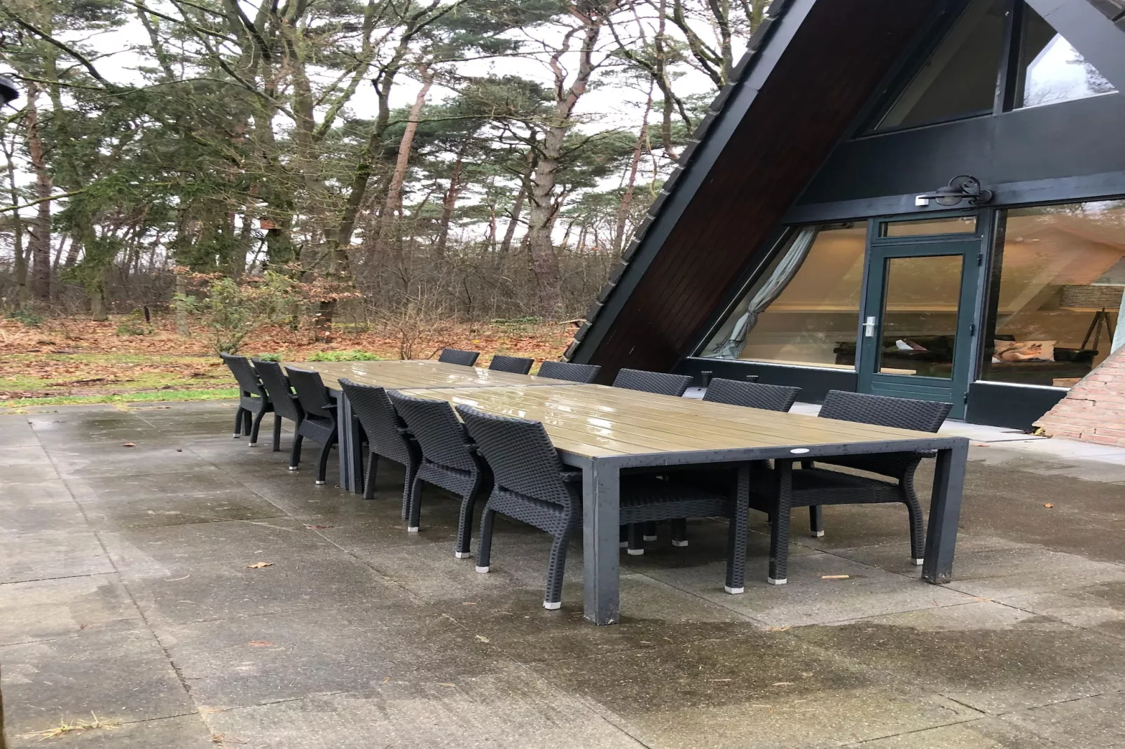 Vosseven 46&47 Aalbes-Tuin winter