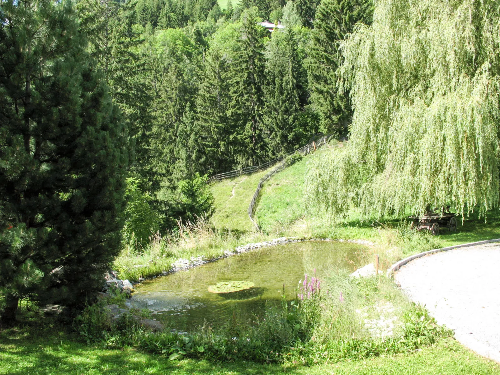 Burg Biedenegg, Pach (FIE201)-Binnen