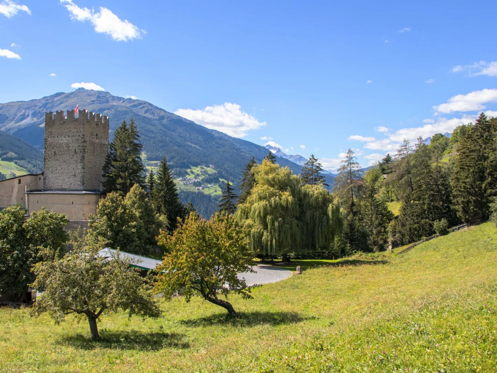 Burg Biedenegg,Trautson (FIE202)