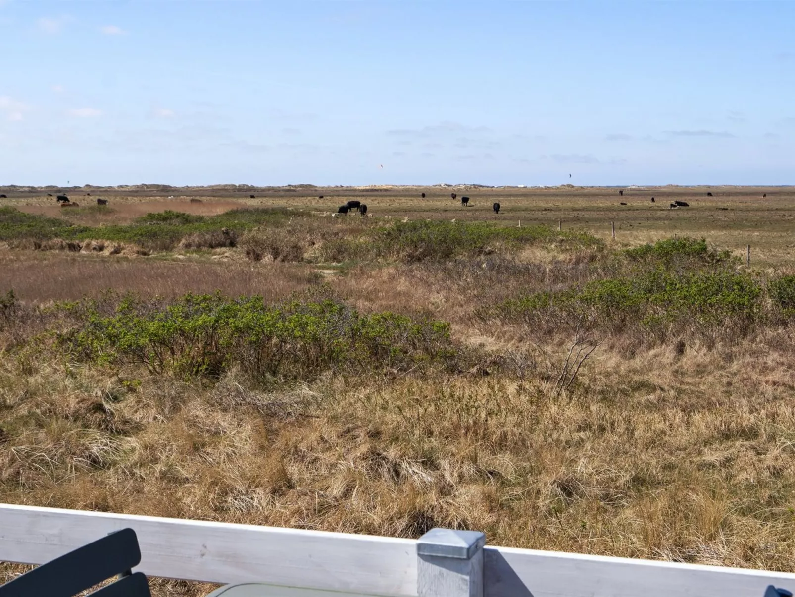 "Blomma" - 350m from the sea-Buiten