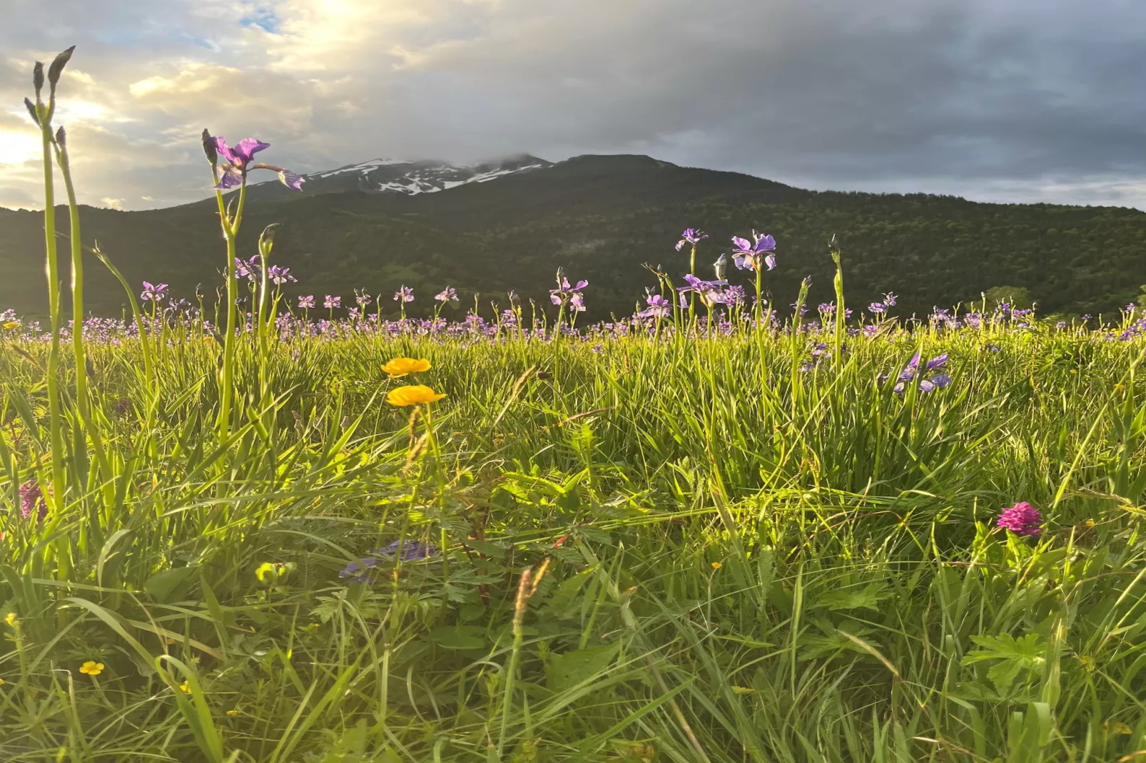 Zugspitz Suites Lermoos 8-Gebieden zomer 1km