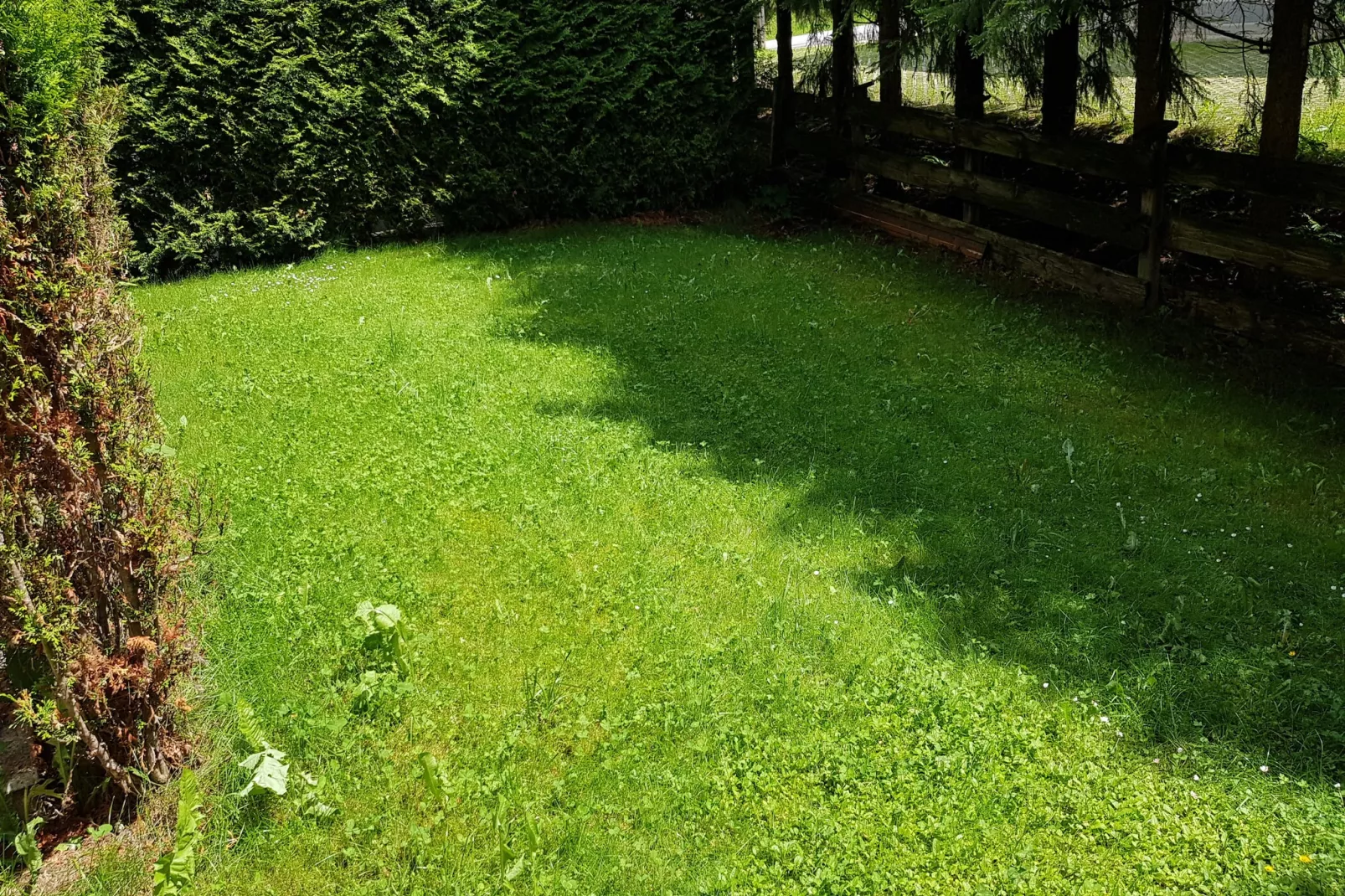 Haus Nora Top 1-Tuinen zomer