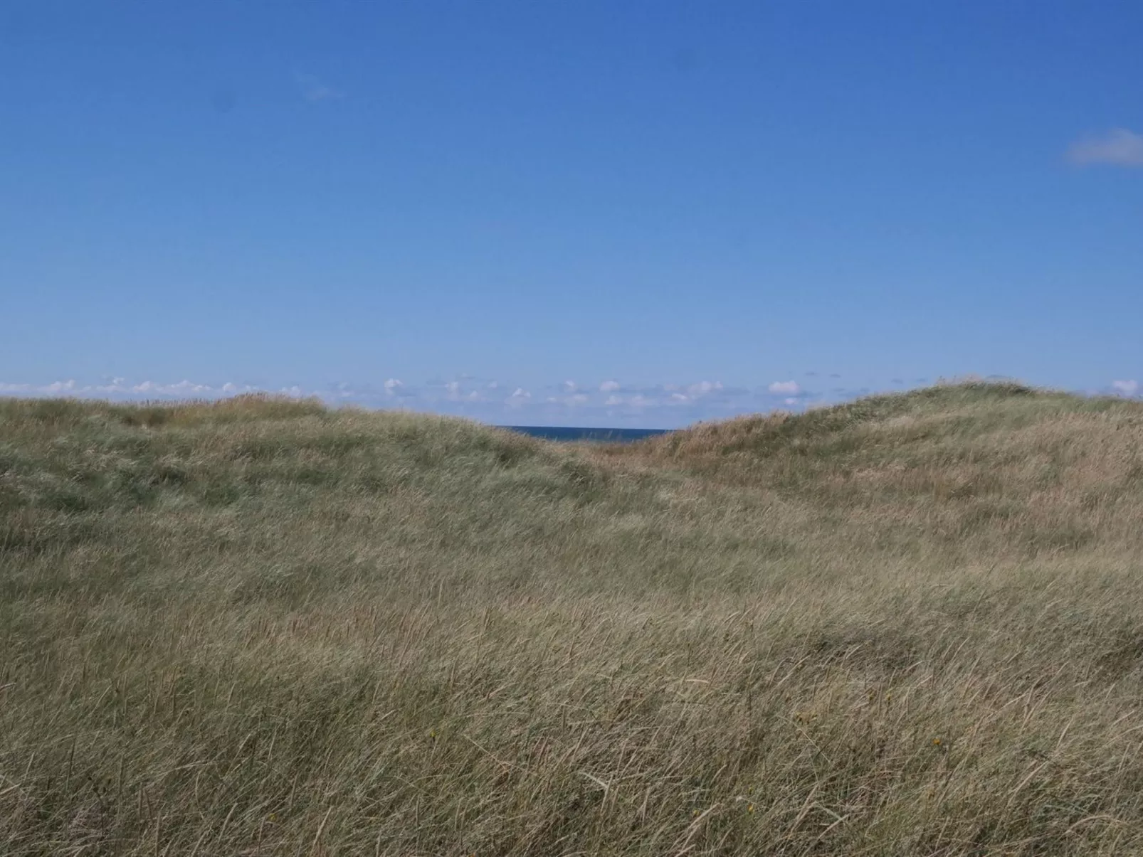 "Erland" - 500m from the sea-Buiten