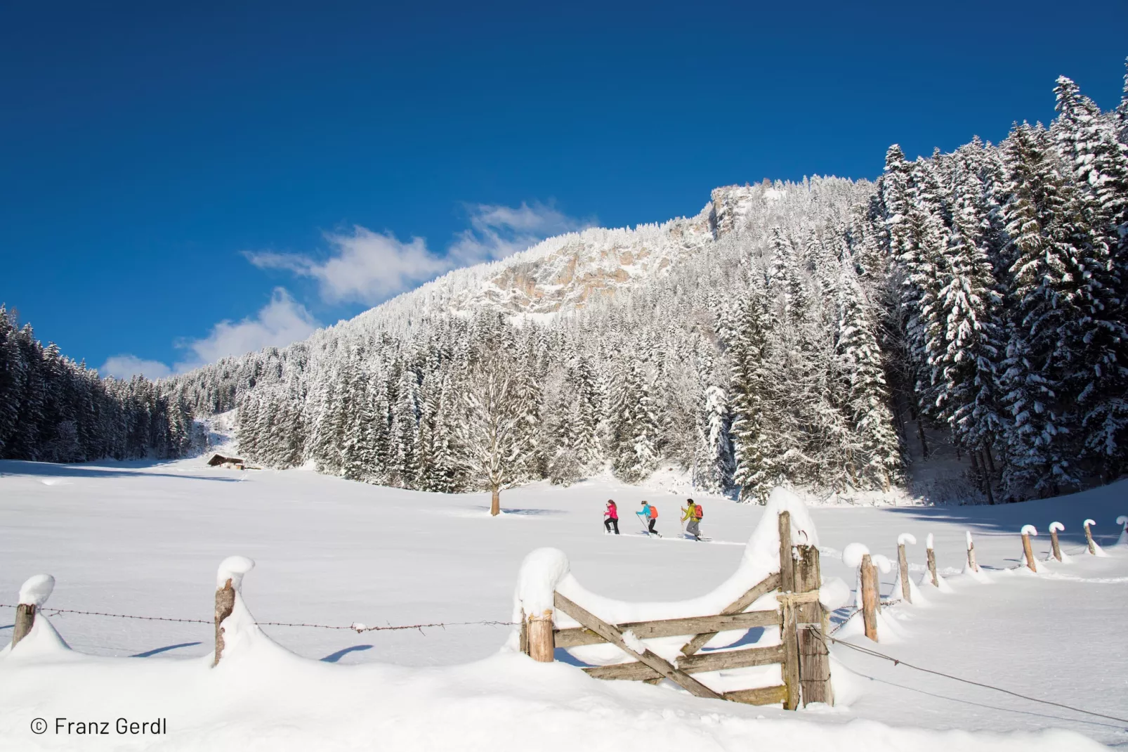 Kitzbühel Suites 3-Gebied winter 5km
