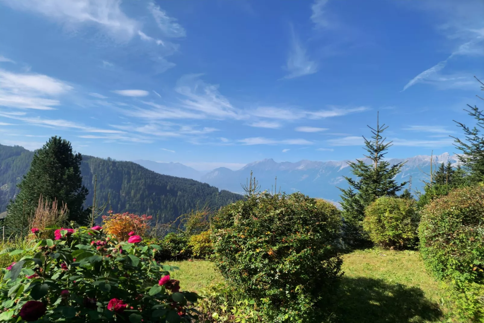 Landhaus Waldhof am Großvolderberg-Niet-getagd