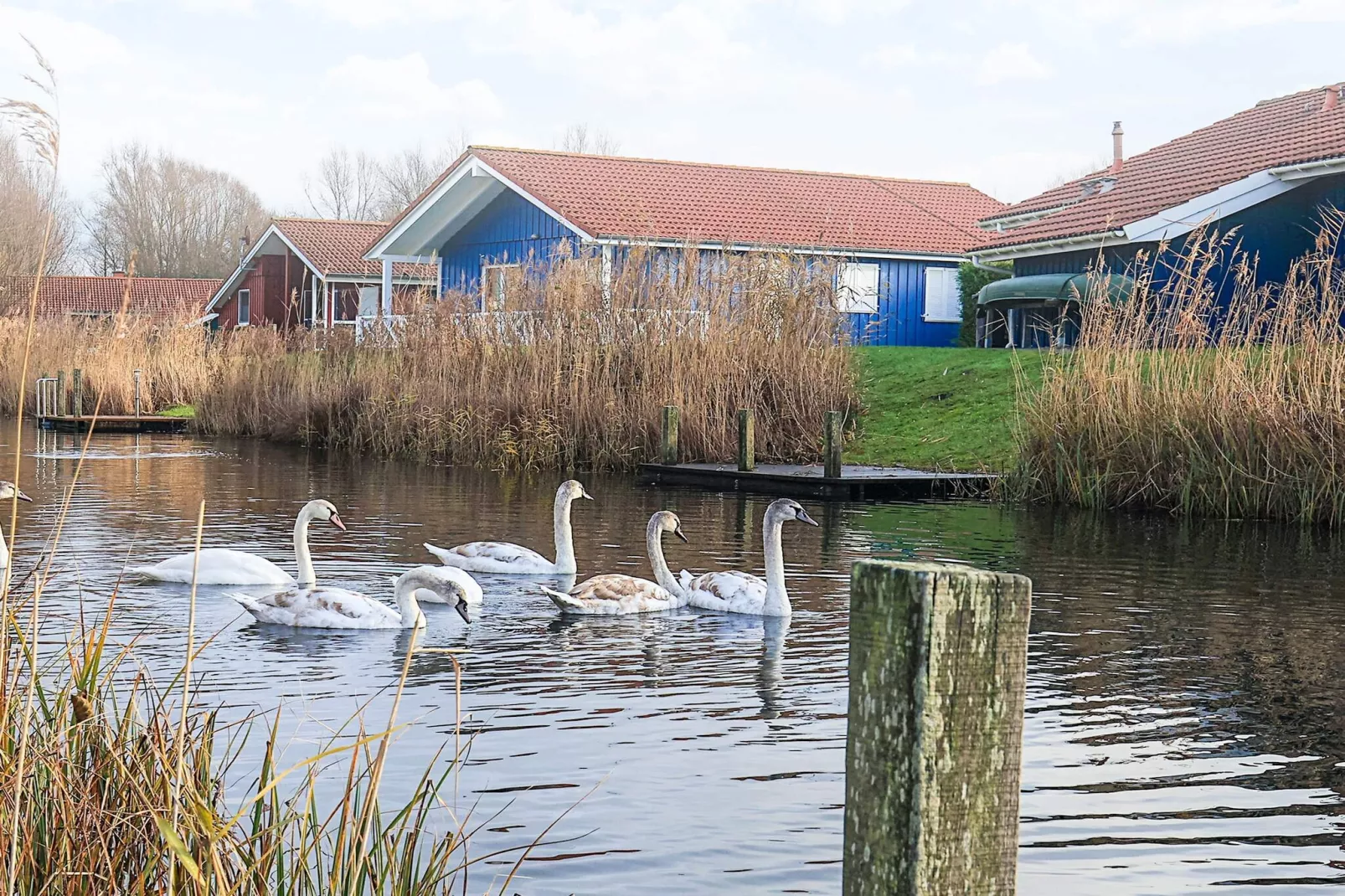 4 sterren vakantie huis in Ottendorf-Uitzicht
