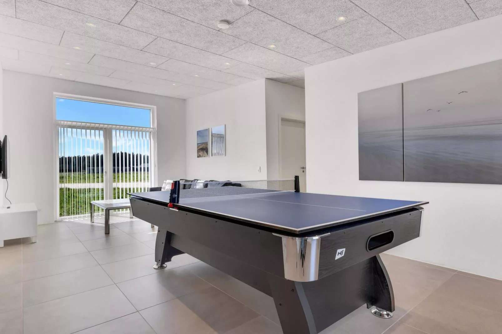 Ruim vakantiehuis in Lokken-Binnen
