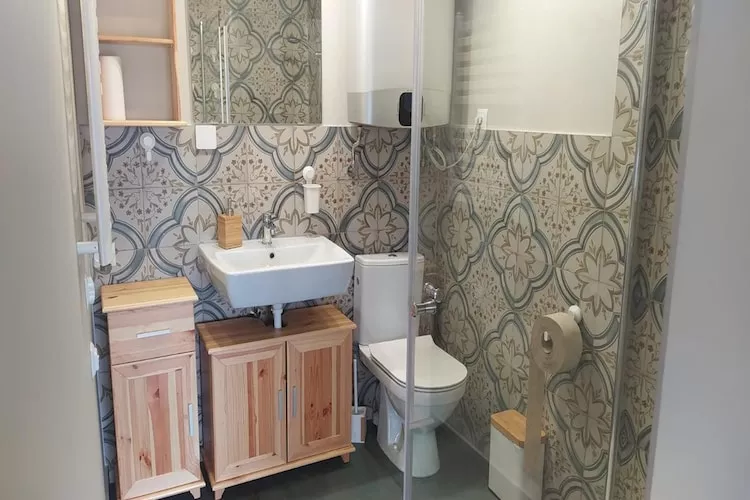 Dom wakacyjny dla 8 osób Sieciemin-Badkamer