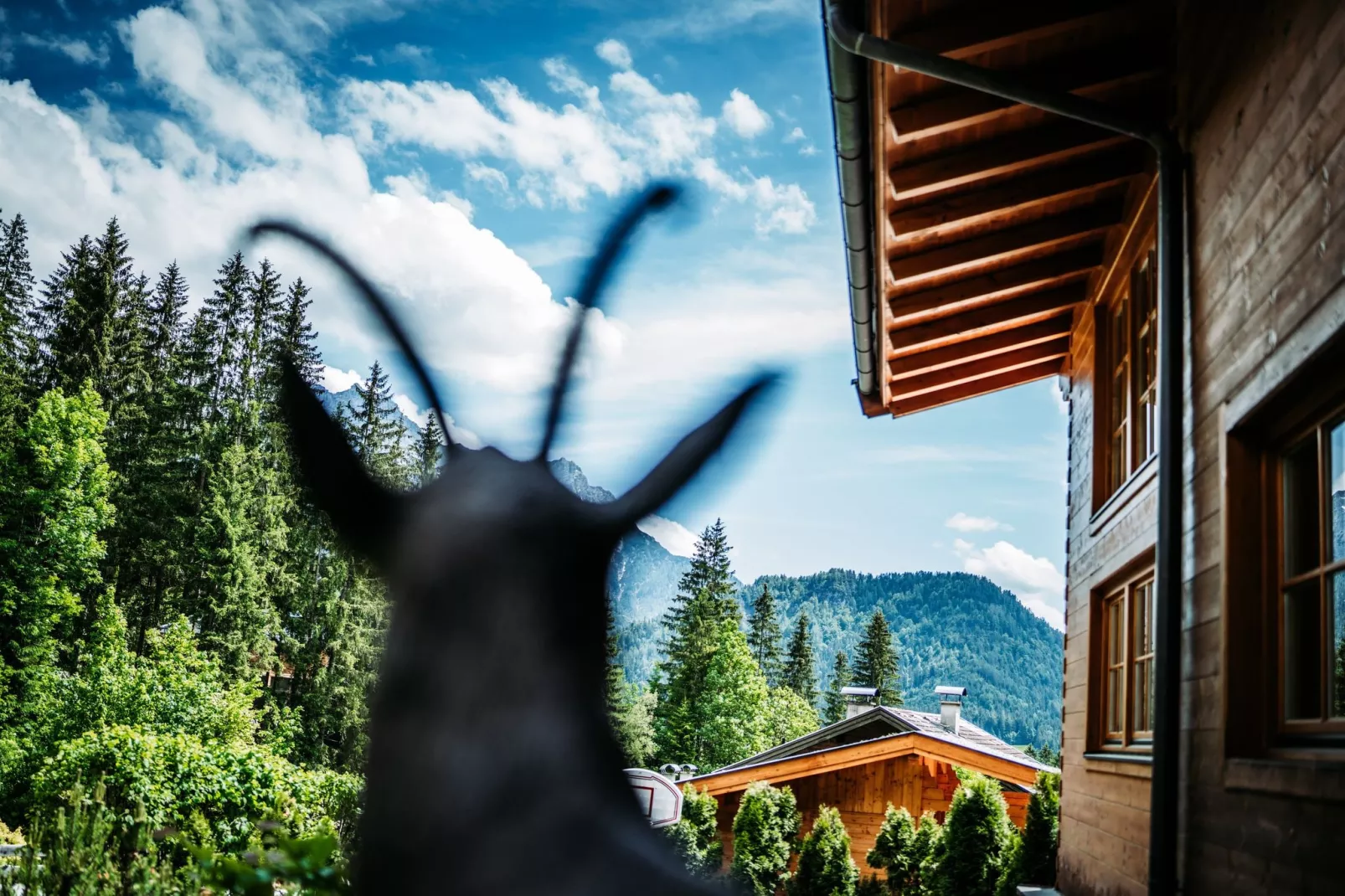 Chalet Gamsglück in Waidring-Niet-getagd