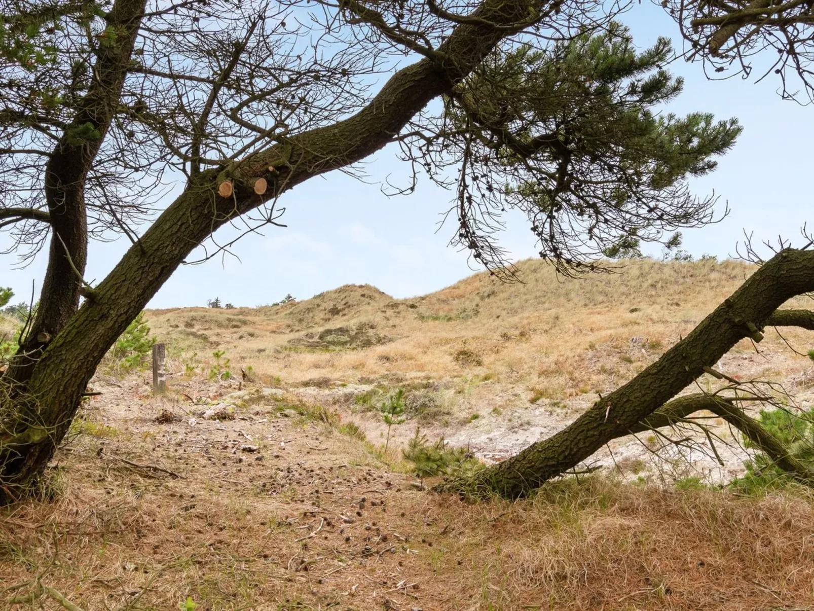 "Atreju" - 2km from the sea-Buiten