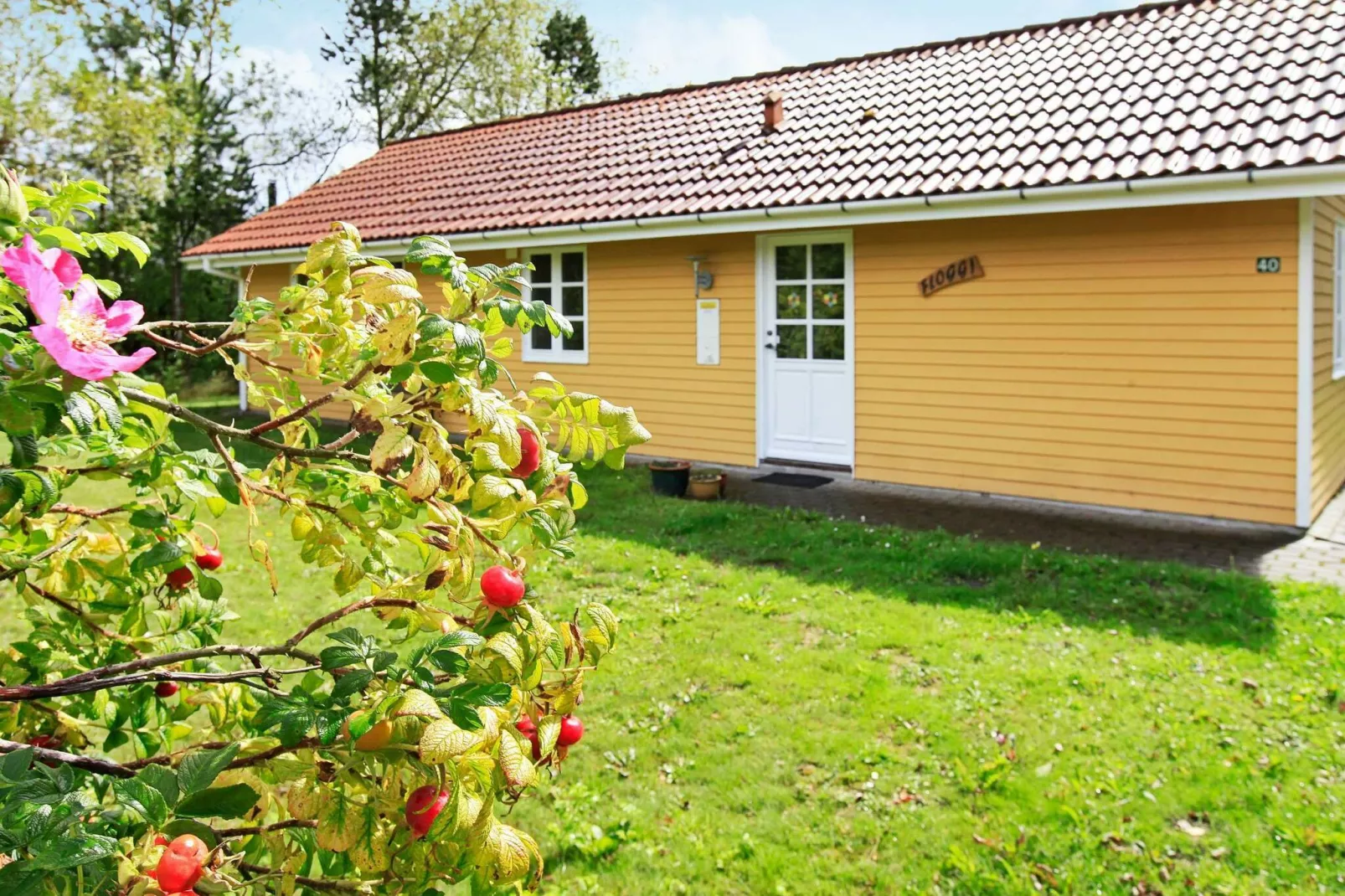 8 persoons vakantie huis in Oksbøl-Uitzicht