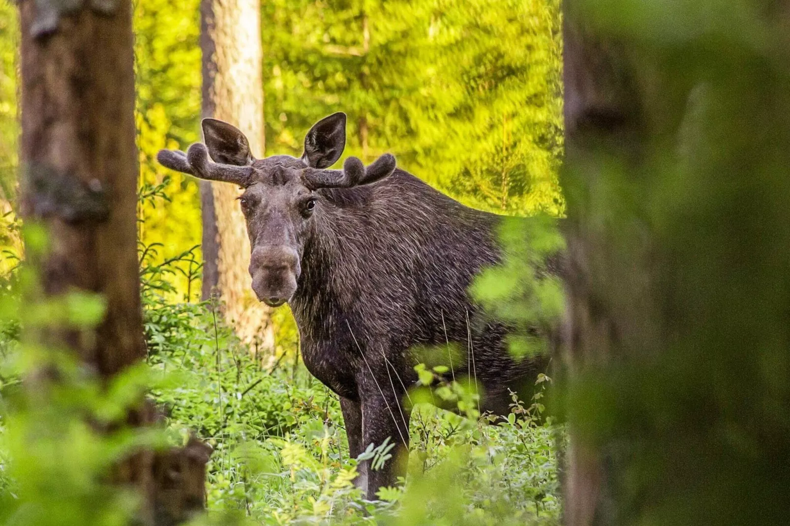4 persoons vakantie huis in TORSBY-By Traum-Niet-getagd