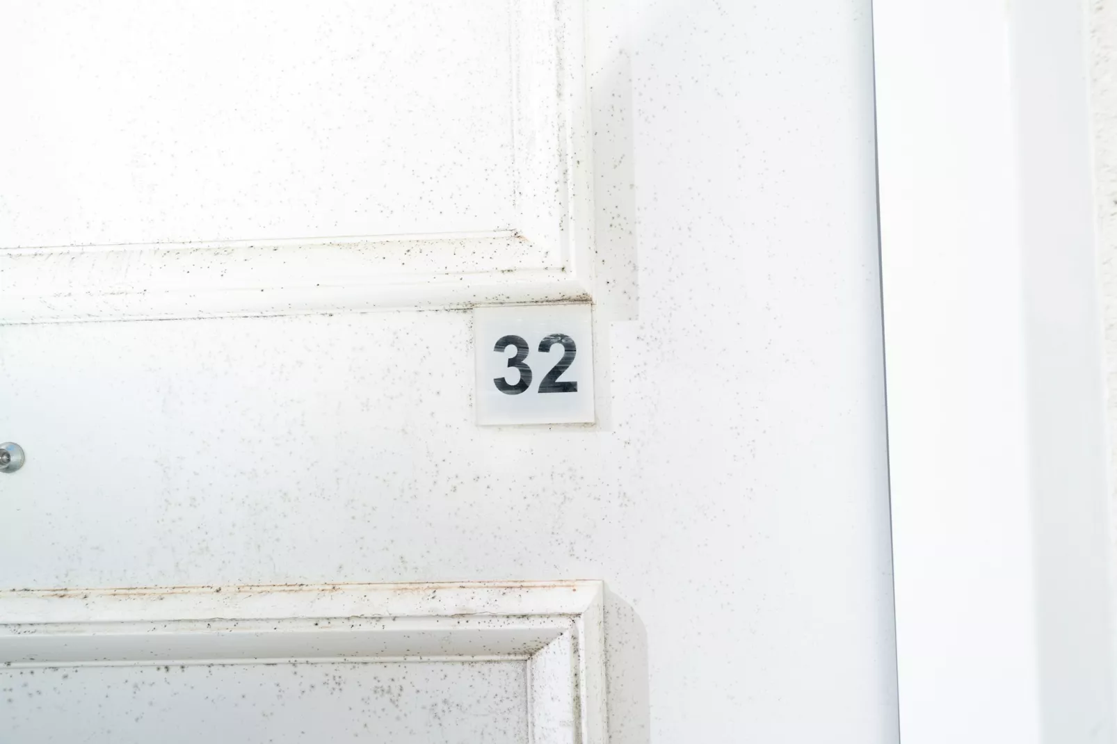 La Dune N°32 - Villa 2P4-Sfeer