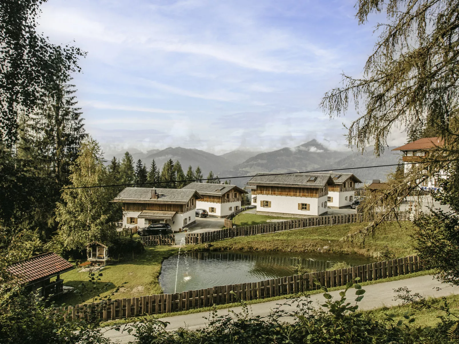 Waldkauz groß-Buiten