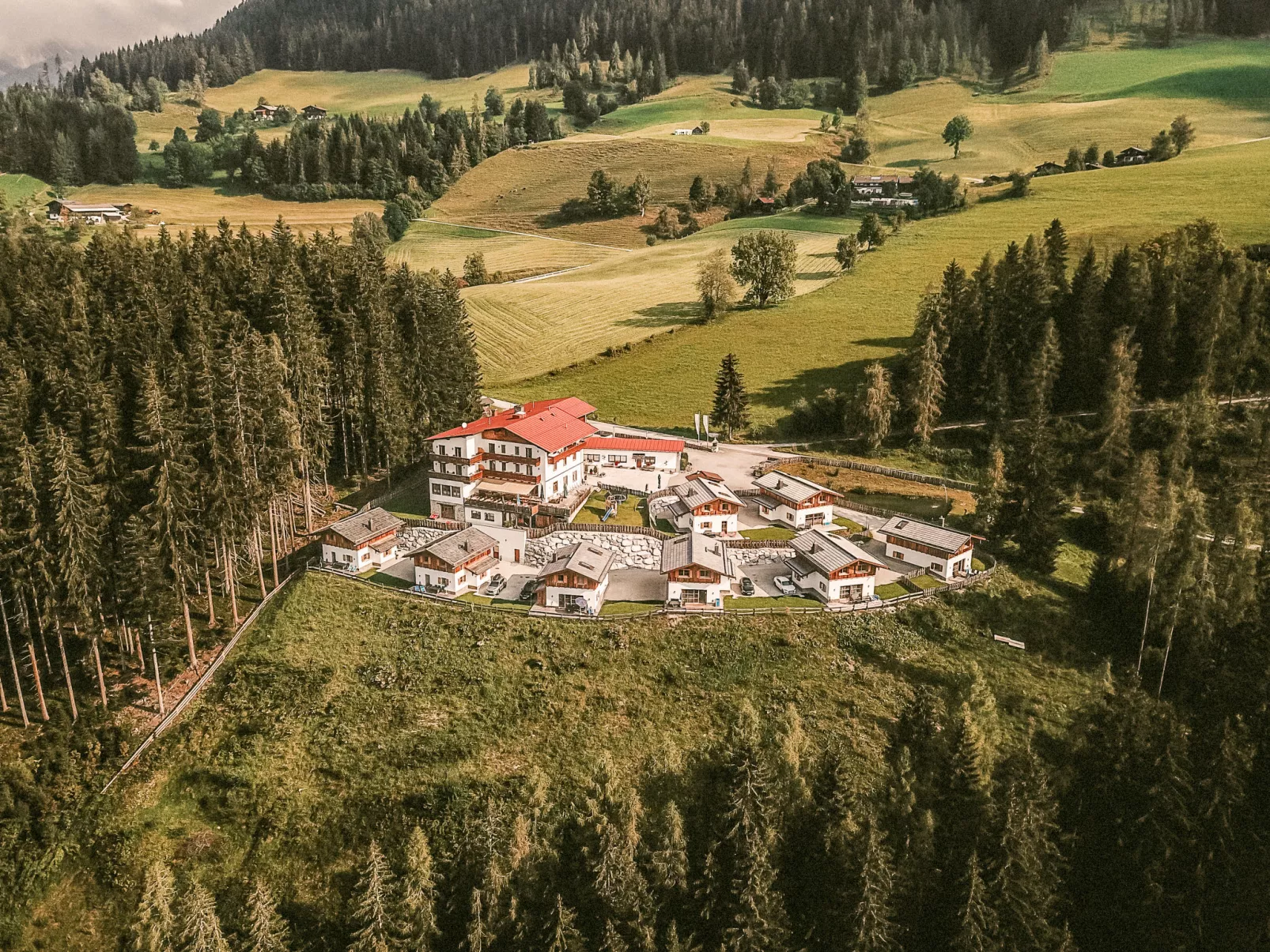 Waldkauz groß-Buiten