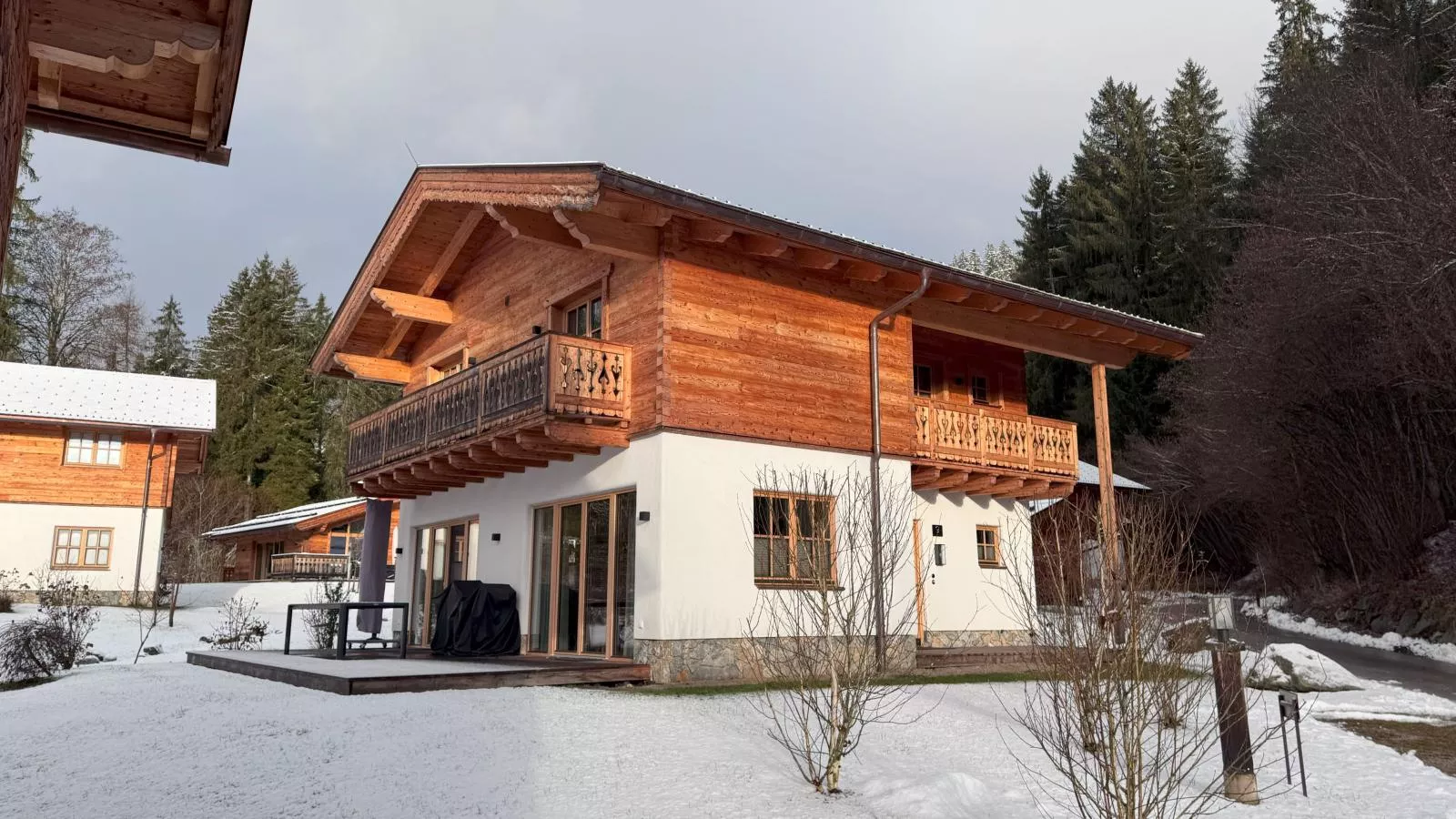 Villa Gradenbach-Exterieur winter