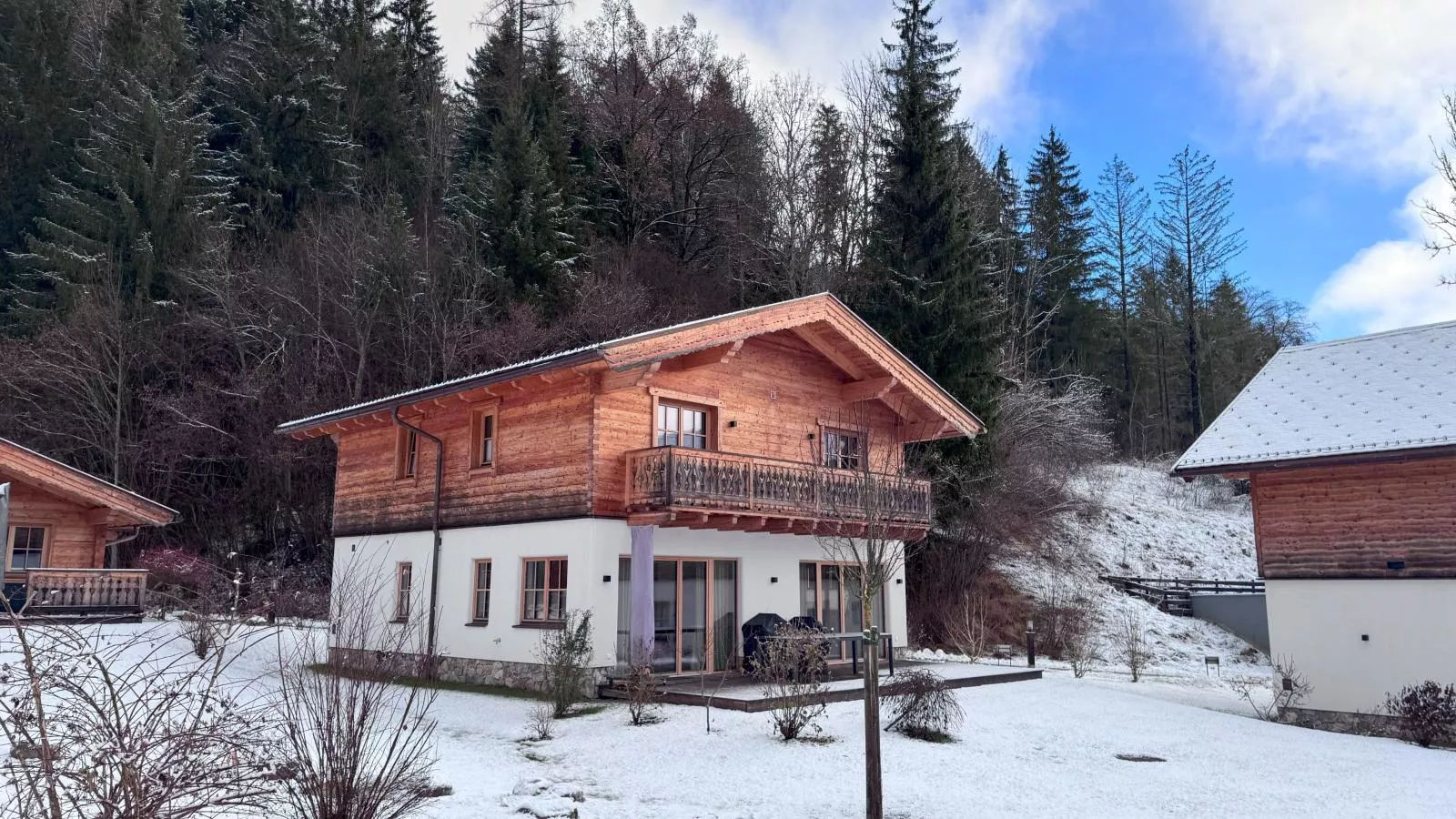Villa Gradenbach-Exterieur winter
