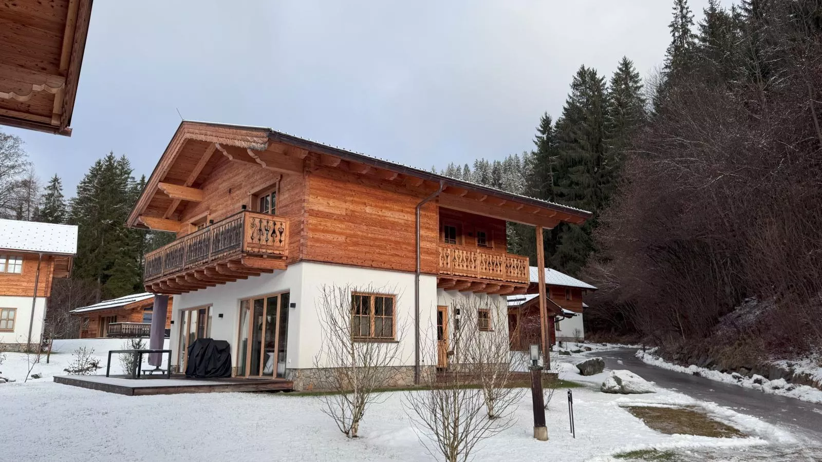 Villa Gradenbach-Exterieur winter