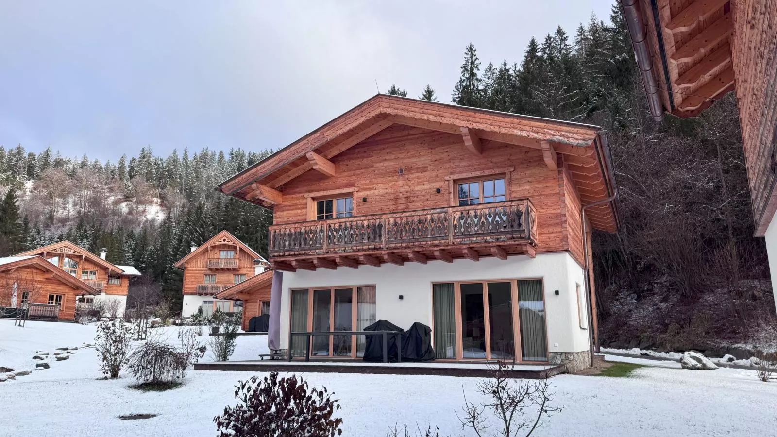 Villa Gradenbach-Exterieur winter