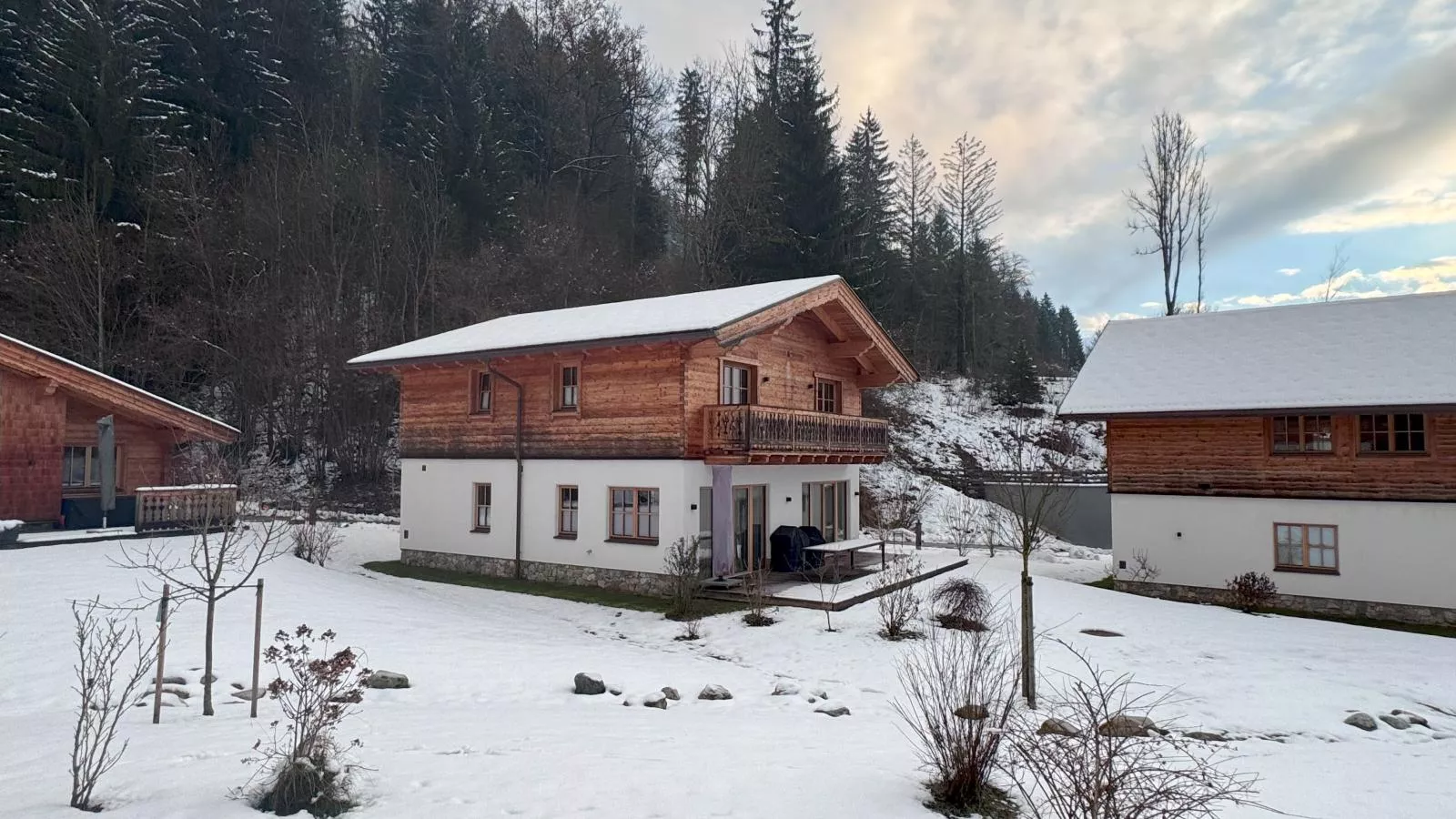 Villa Gradenbach-Exterieur winter