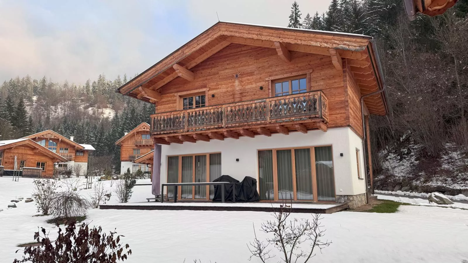 Villa Gradenbach-Exterieur winter