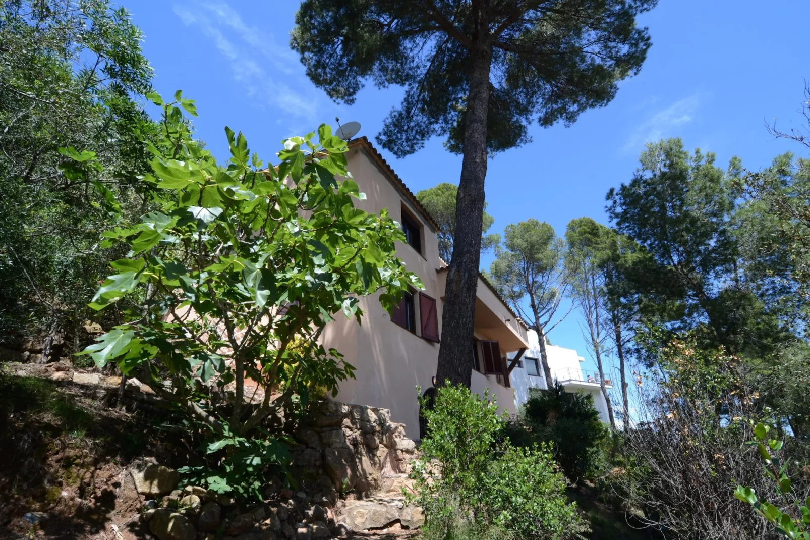 SA PUNTA 60-Gebieden zomer 1km