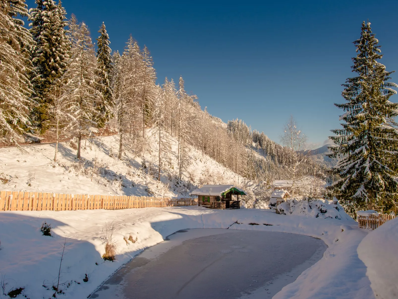 Schnee Eule-Buiten