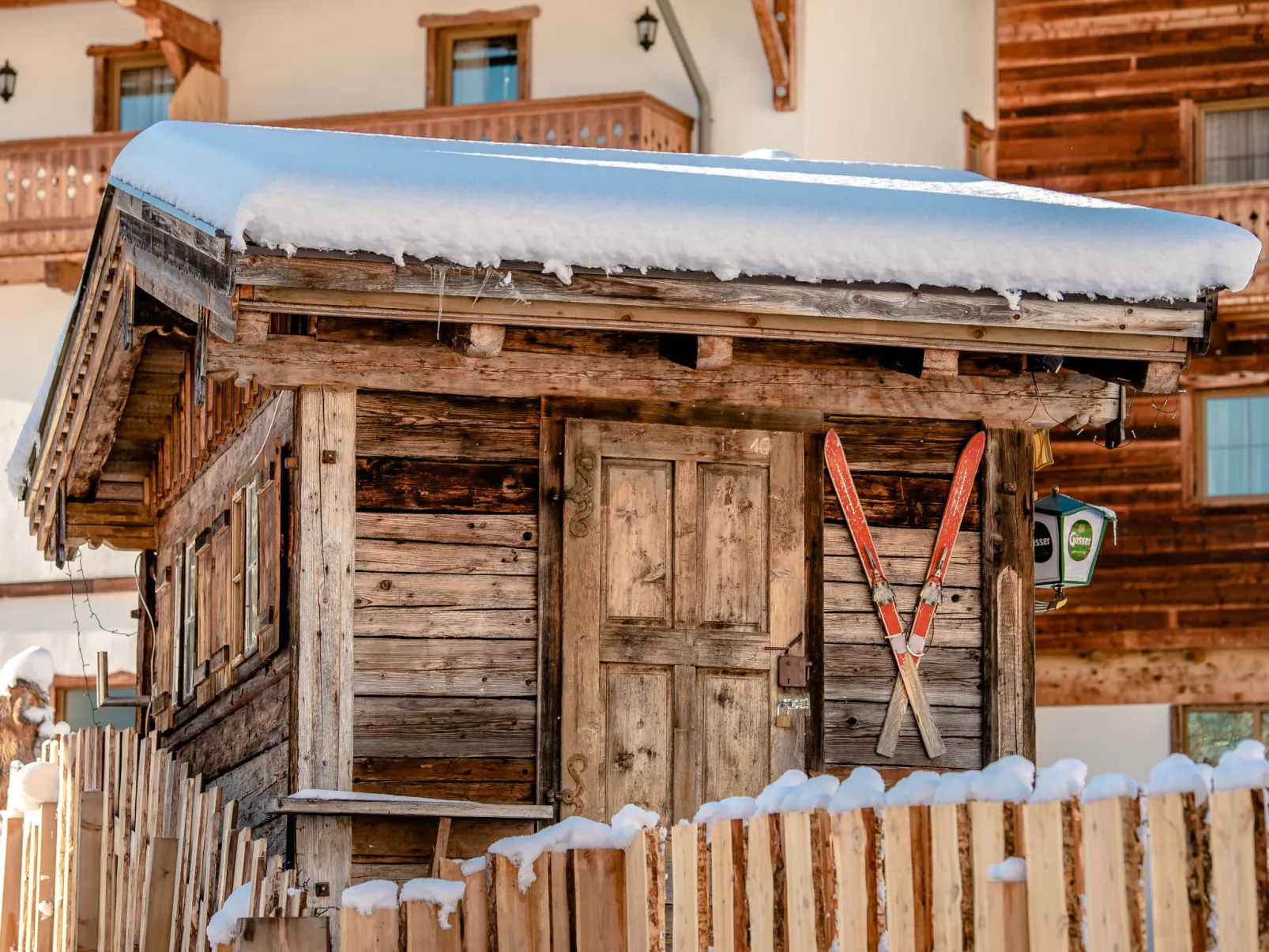 Schnee Eule-Buiten