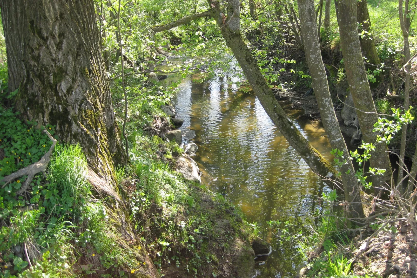 Am Ferienhof