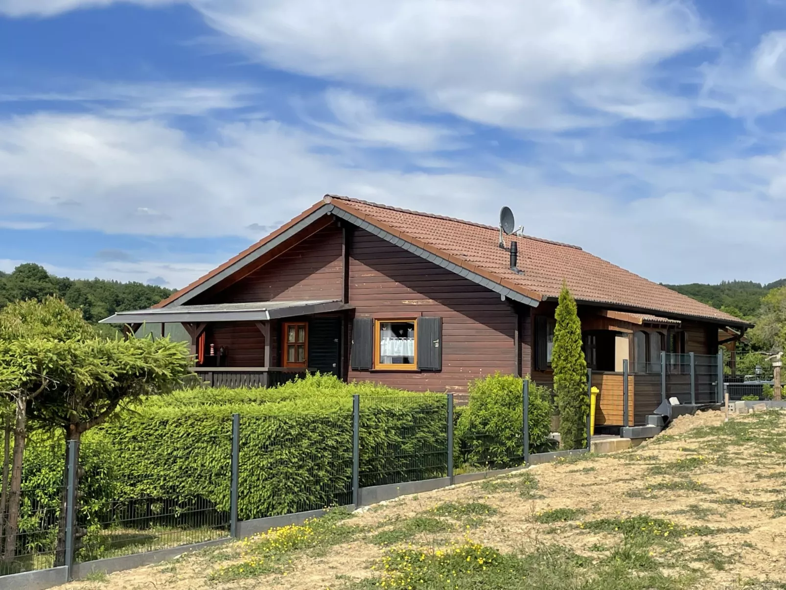 Löwenzahn-Buiten