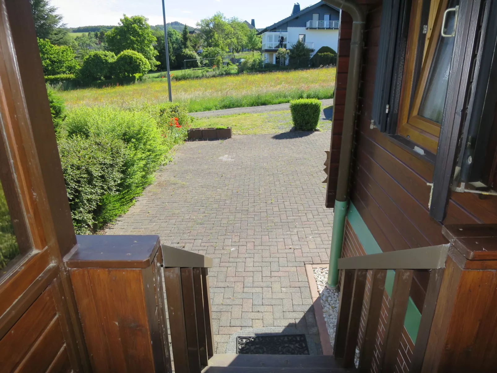 Löwenzahn-Buiten
