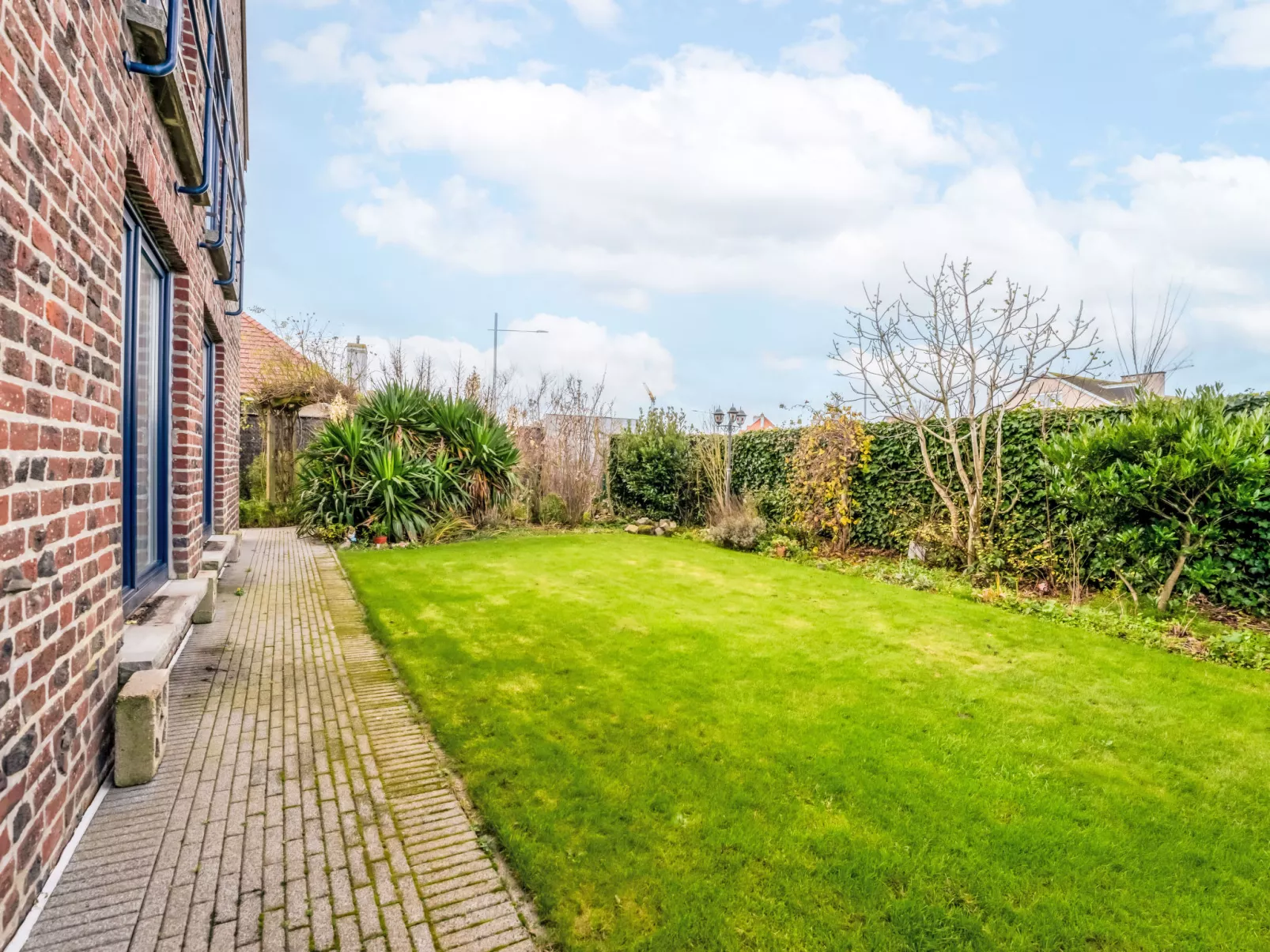 Zeelucht with private garden-Buiten