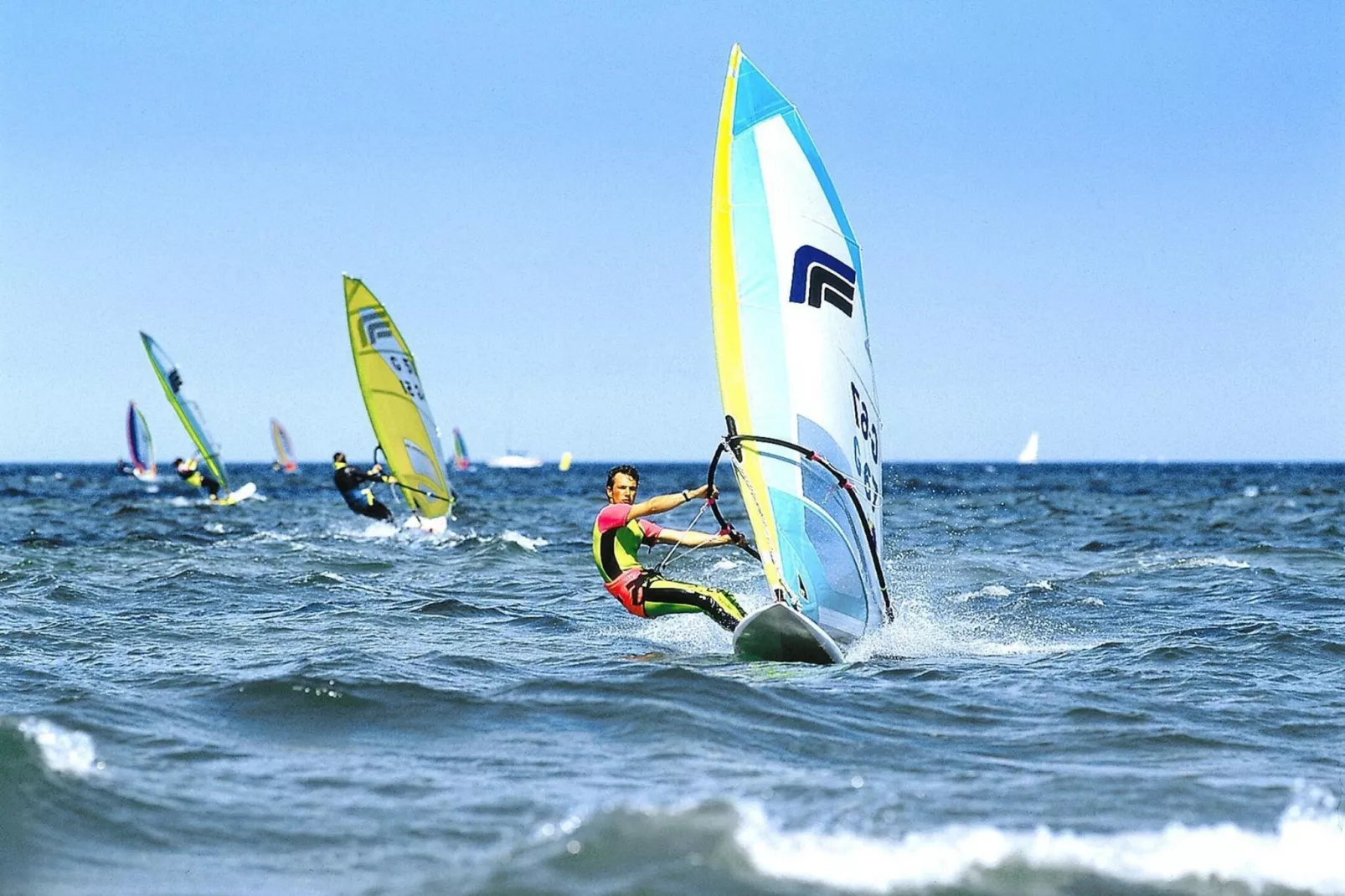 Seeadler 209-Gebieden zomer 1km