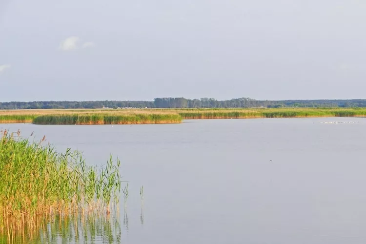 Floating House 1 - Classic / 4 Personen-Gebieden zomer 1km