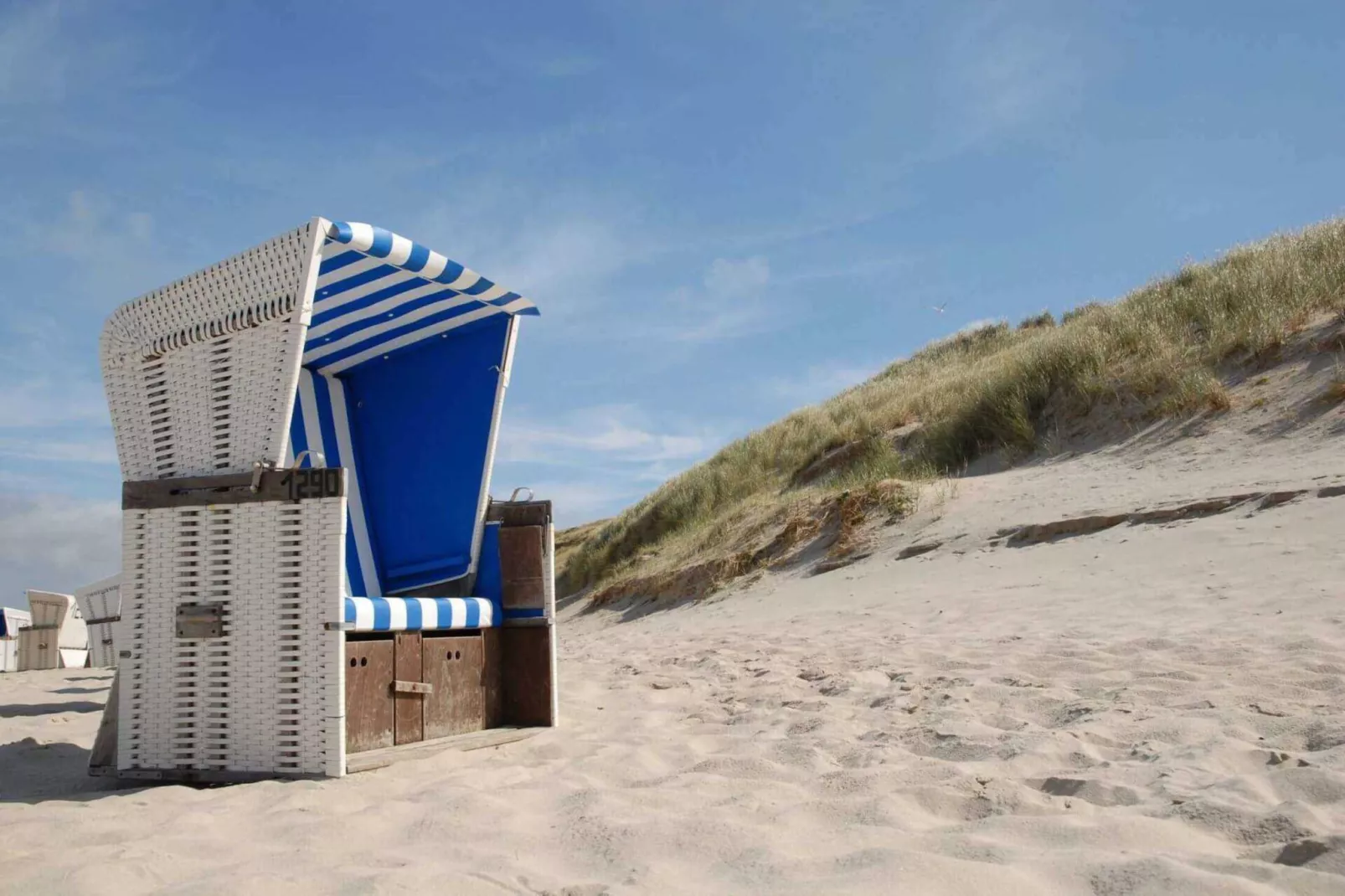 Apartementhaus Andrea Wohnung 2 - Westerland-Gebieden zomer 5km