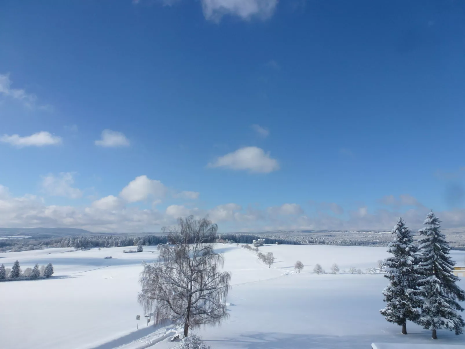 Wald und Wiese (B 94)-Omgeving