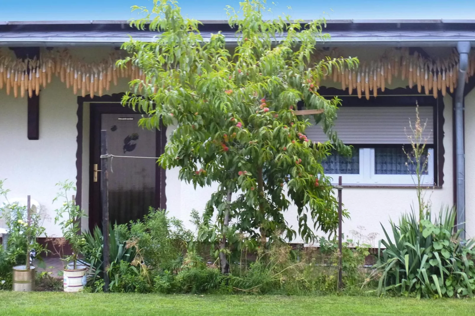 Reihenbungalow an einem Spreearm-Buitenkant zomer