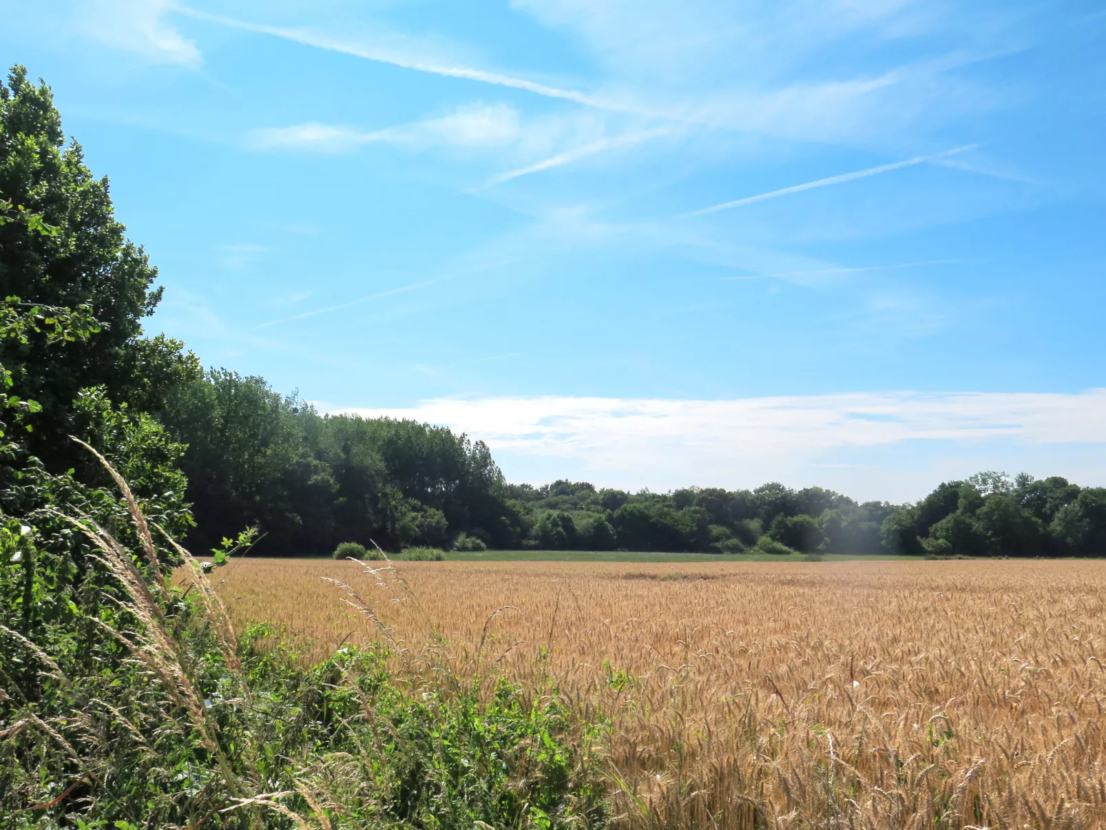 L'Egven (CLG101)-Buiten