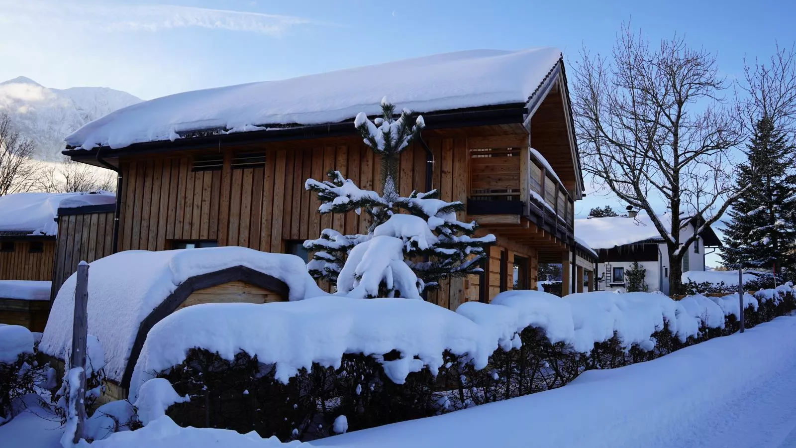Holzchalet Tauplitz-Exterieur winter