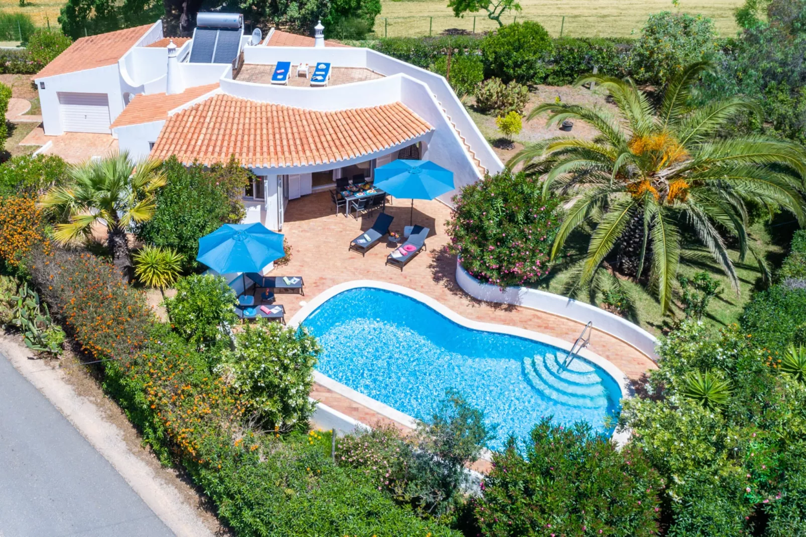 Villa Sunshine-Gebieden zomer 1km
