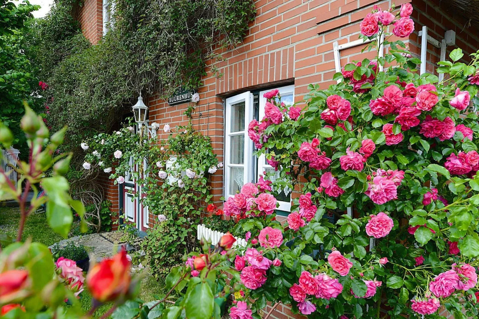 Ferienwohnung Oevenum Wohnung 1-Buitenkant zomer