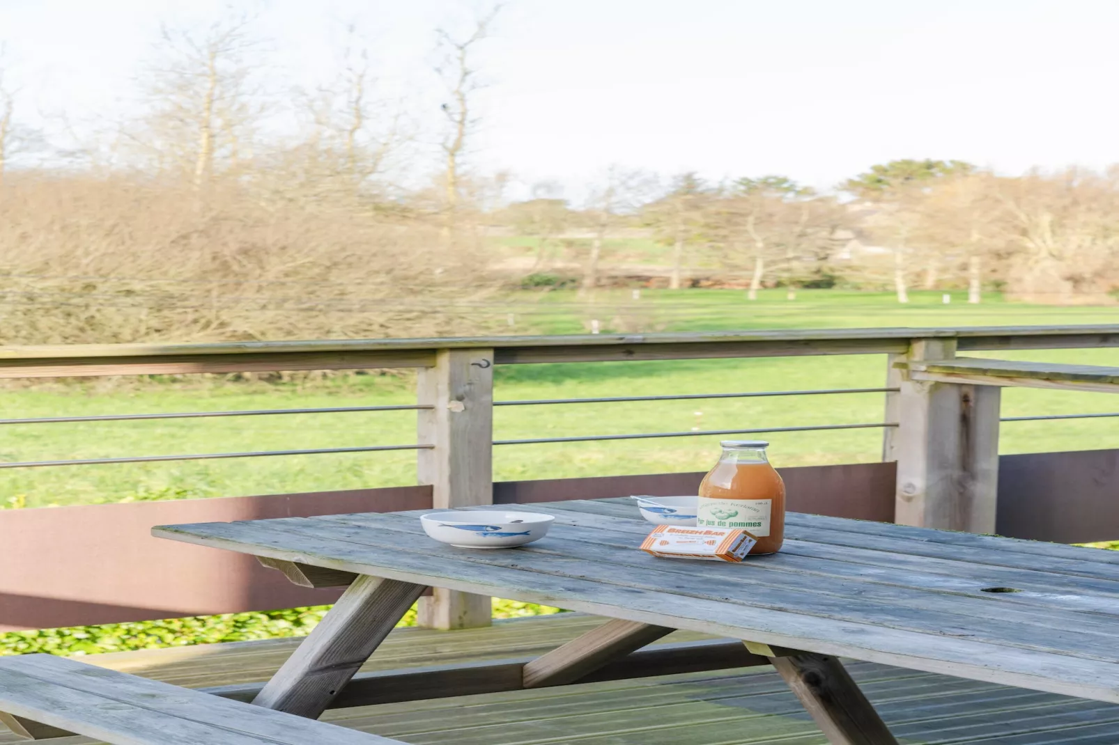 ROSCAROC - ENEZ AR BEG (côté jardin) - Portsall-Terras