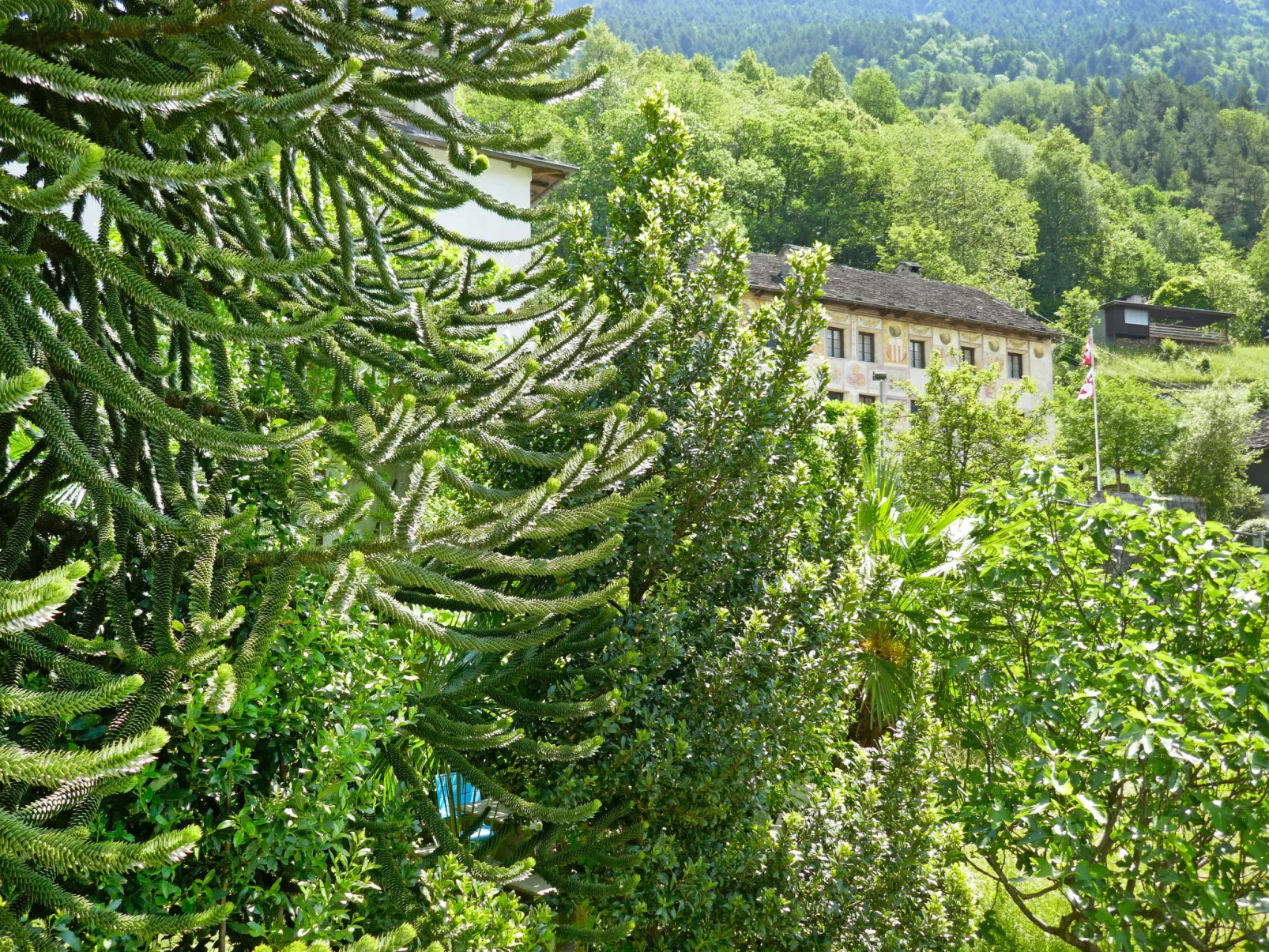 Casa Agnelli-Buiten