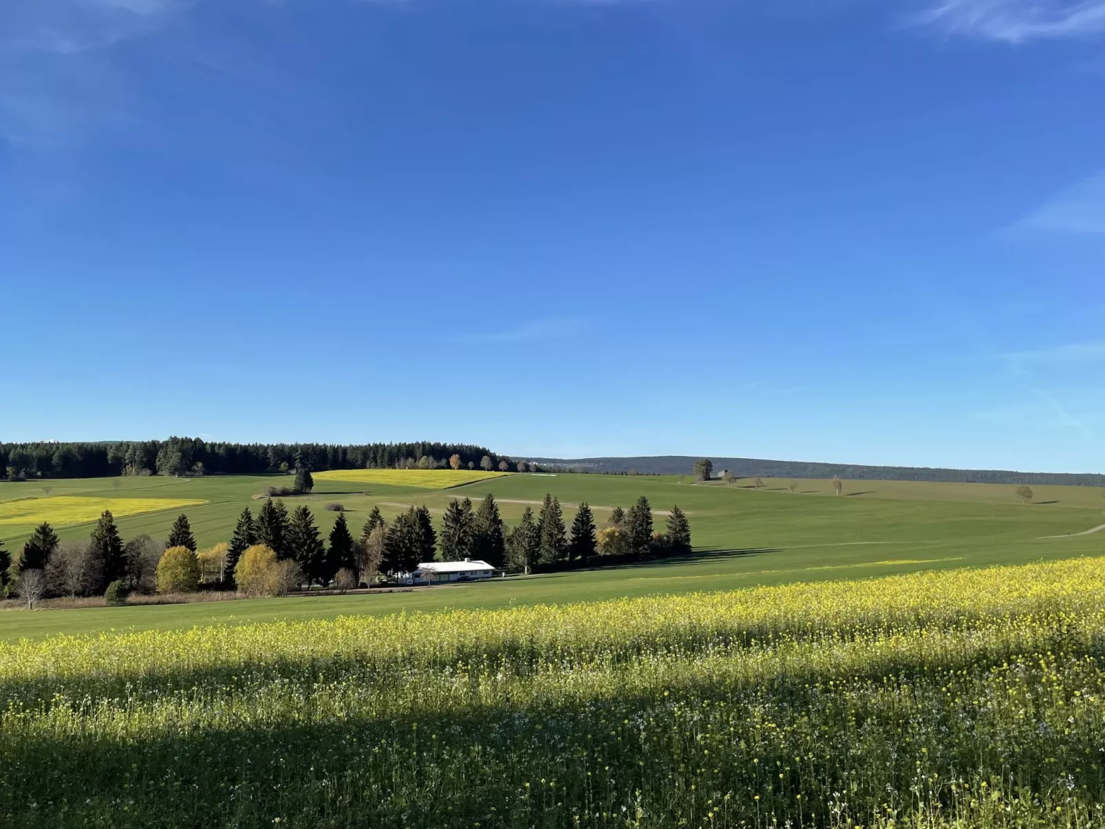 Schöne Aussicht-Omgeving