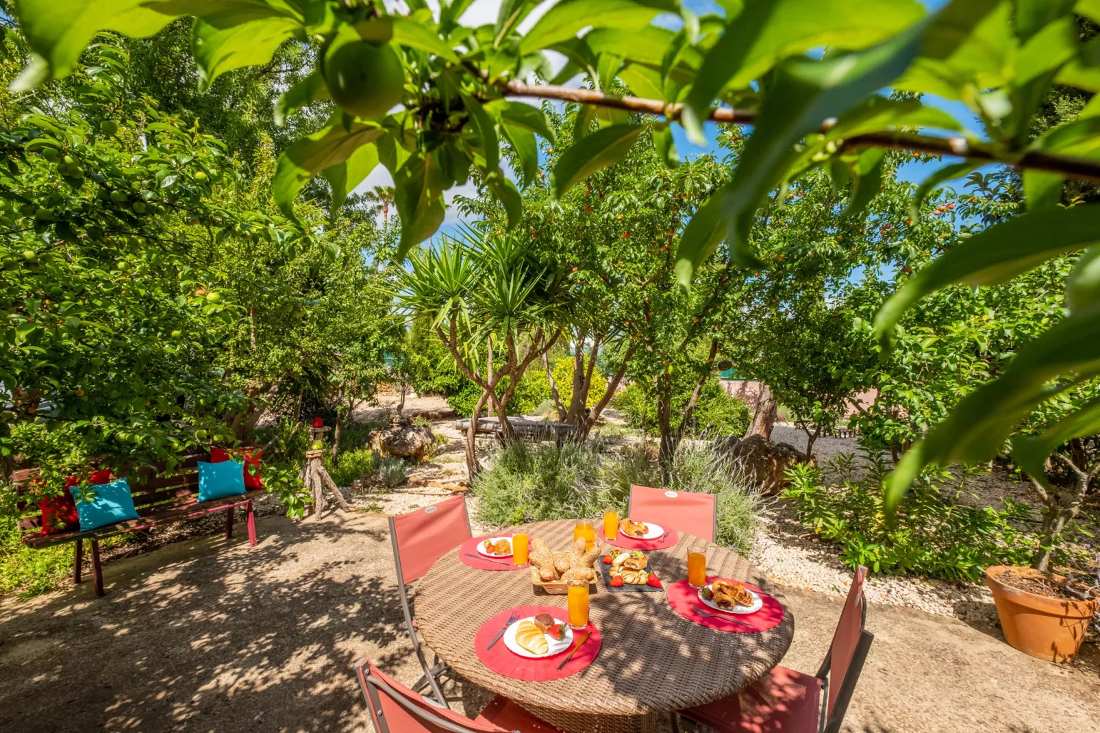 Villa Quinta do Mocho-Tuinen zomer