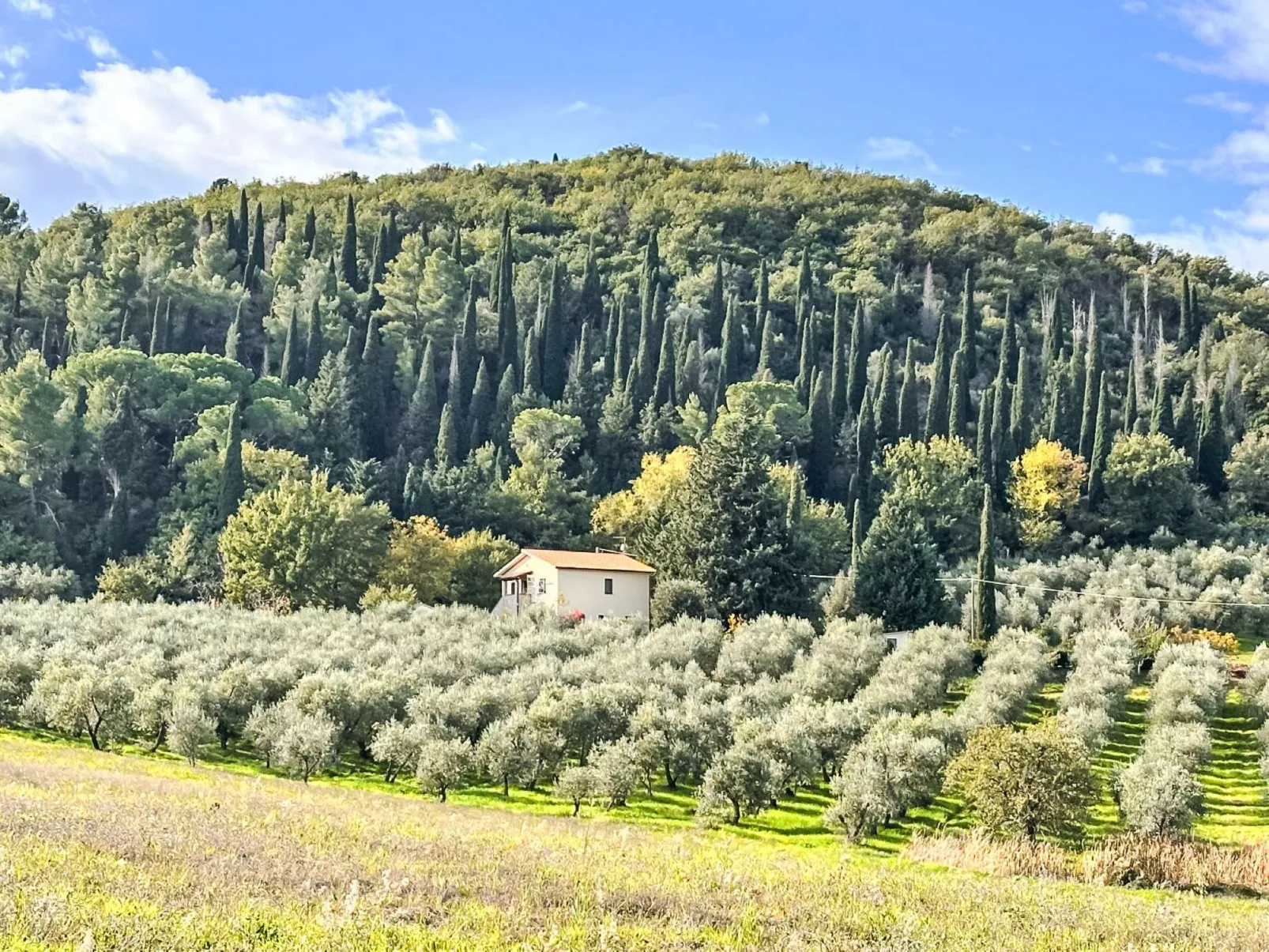 Il Cipresso-Buiten