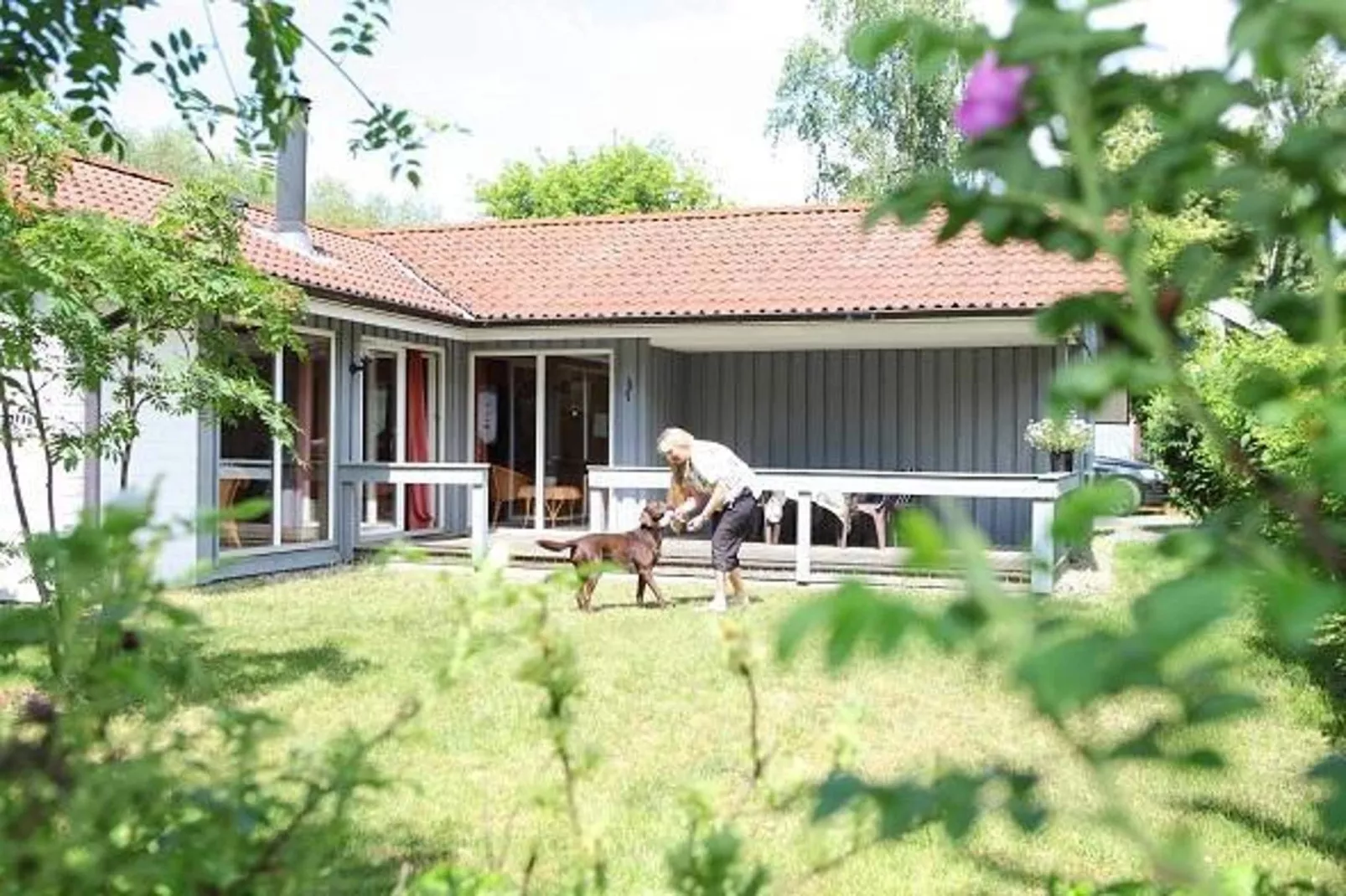 Reiher 24-Tuinen zomer