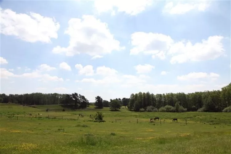 Ferienhäuser Inselblick / Ferienhaus 4 60 qm-Uitzicht zomer