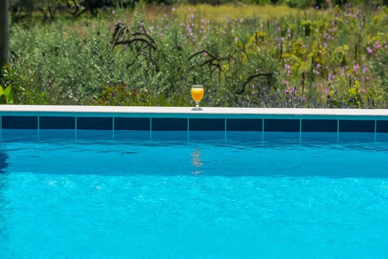 Apartments Villa Harmonia - One-Bedroom Apartment with Patio and Shared Pool-Zwembad